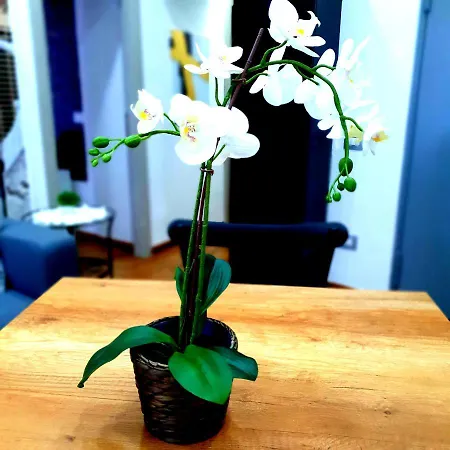 Apartament Old Town House Neapol