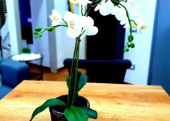 アパート Old Town House ナポリ